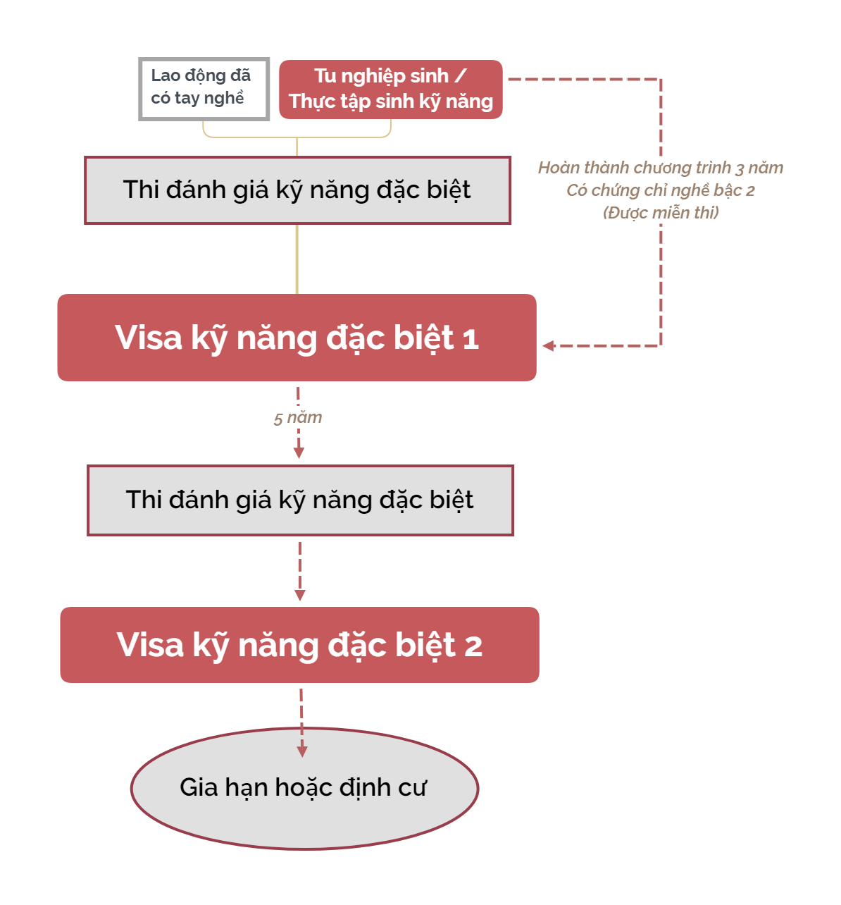 Quy trình cấp Visa đặc định 1 và 2